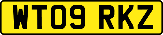WT09RKZ