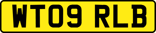 WT09RLB