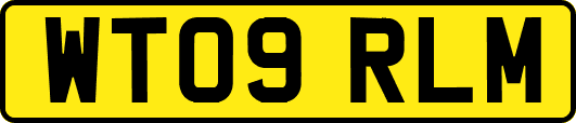 WT09RLM