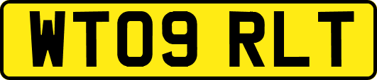 WT09RLT