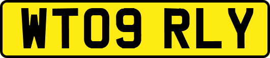 WT09RLY