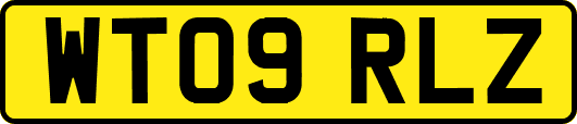 WT09RLZ