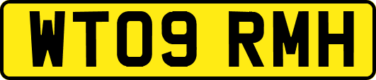 WT09RMH