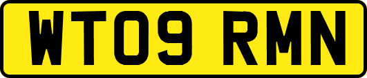 WT09RMN
