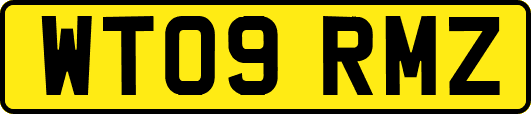 WT09RMZ