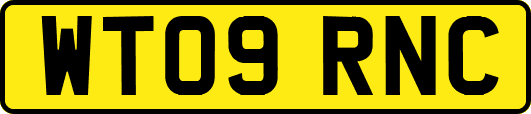 WT09RNC