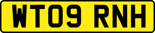 WT09RNH