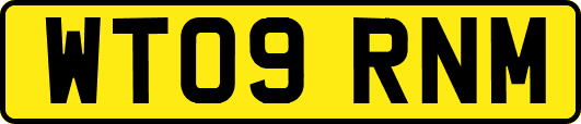 WT09RNM