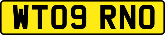 WT09RNO