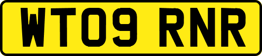 WT09RNR