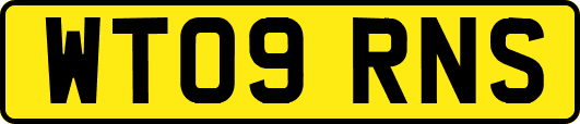 WT09RNS