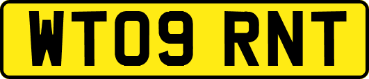 WT09RNT