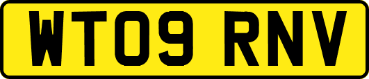 WT09RNV