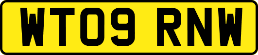 WT09RNW