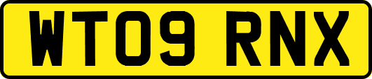 WT09RNX