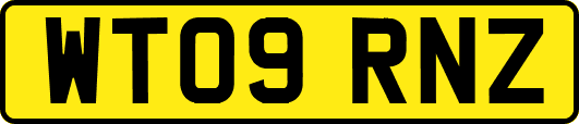 WT09RNZ