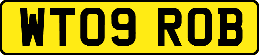 WT09ROB