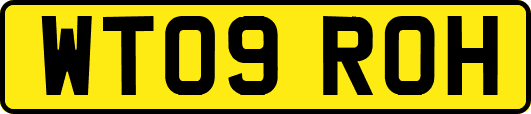 WT09ROH