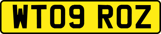 WT09ROZ