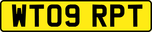 WT09RPT