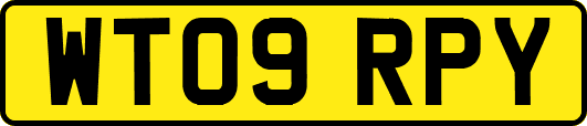 WT09RPY