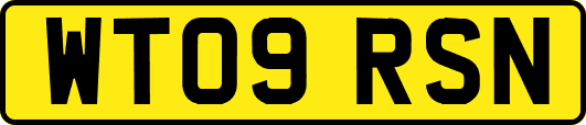 WT09RSN