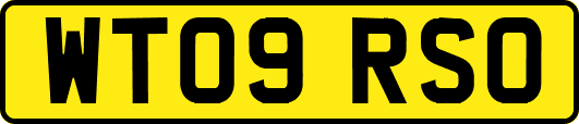 WT09RSO