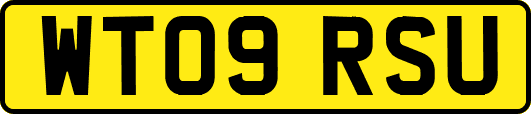 WT09RSU