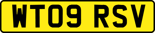 WT09RSV
