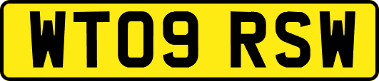 WT09RSW