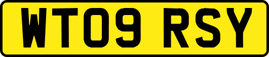 WT09RSY