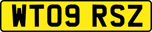 WT09RSZ