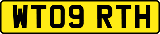 WT09RTH