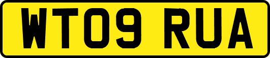 WT09RUA