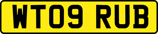 WT09RUB