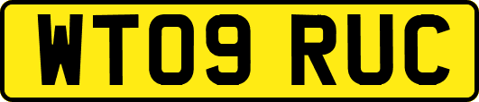 WT09RUC