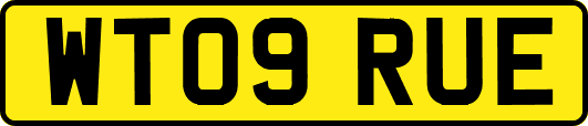 WT09RUE