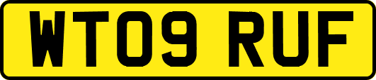 WT09RUF
