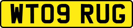 WT09RUG