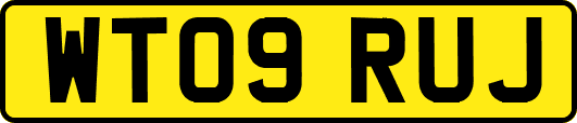 WT09RUJ
