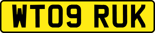 WT09RUK