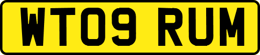 WT09RUM