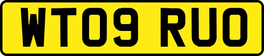 WT09RUO