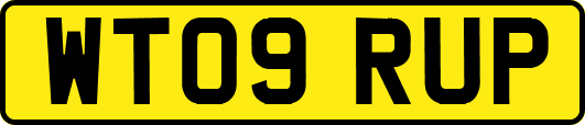 WT09RUP