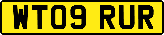 WT09RUR