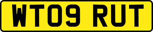 WT09RUT