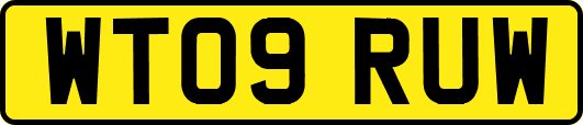 WT09RUW