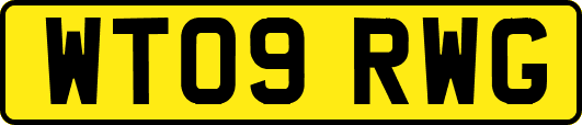 WT09RWG
