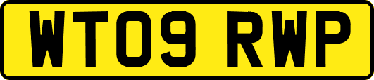 WT09RWP