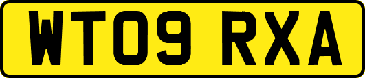 WT09RXA